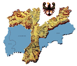 BIM